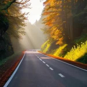 Маршруты, где каждое утро по-новому красиво